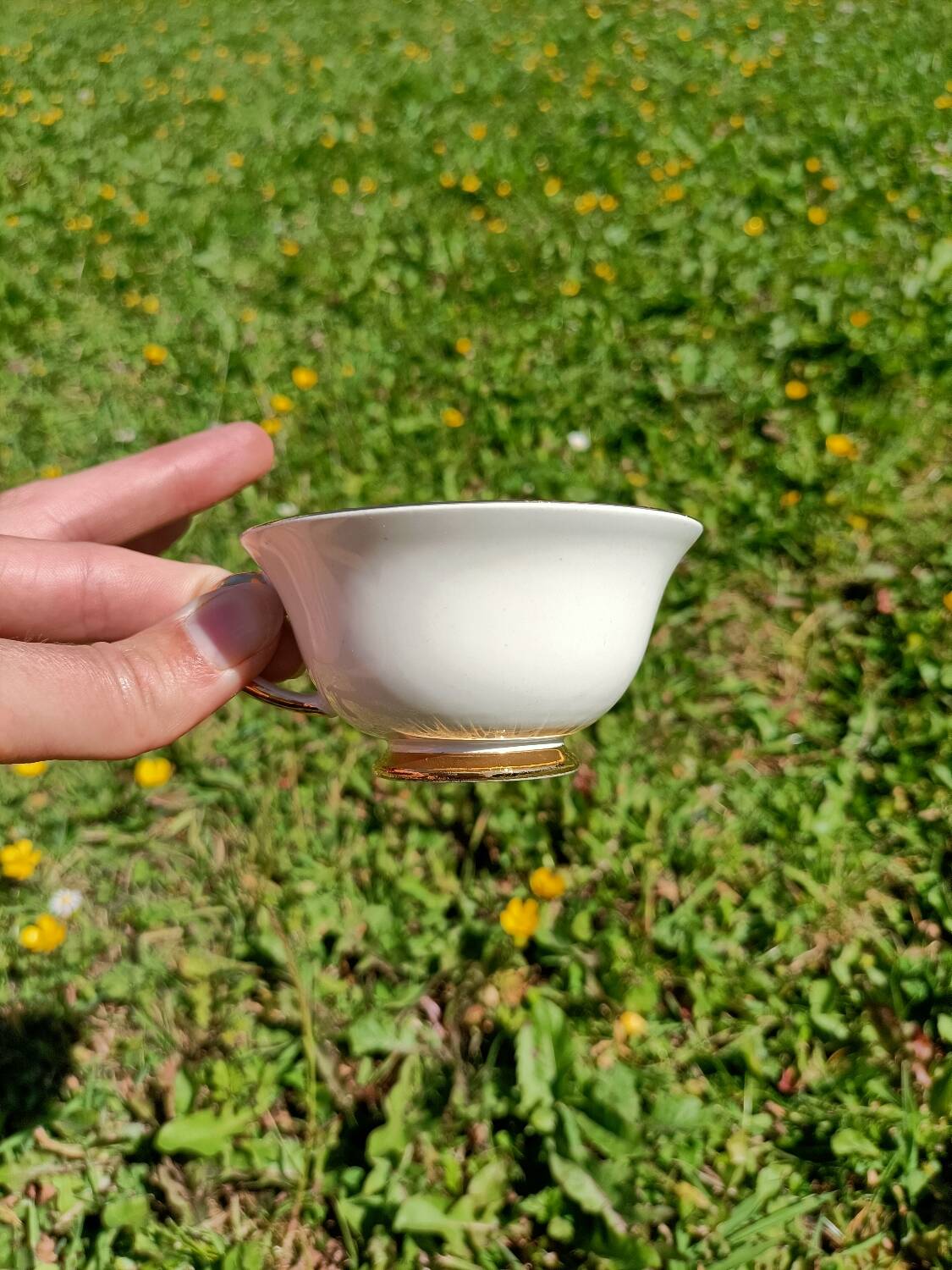 Tasses x6 - Porcelaine de Limoges
