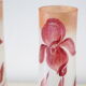 Pair of glass pastry vases, Iris decorations from the Nancy School, vintage Copy