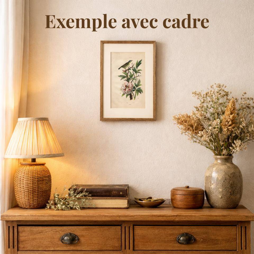 Gravure ancienne de 1839 - Arbre Pipal - planche Botanique vintage