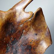 Large monoxyle bowl made of dark raw olive wood from the 1950s.