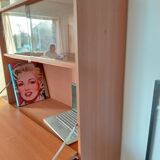 Vintage Scandinavian secretary desk from the 1960s - mid-century design.