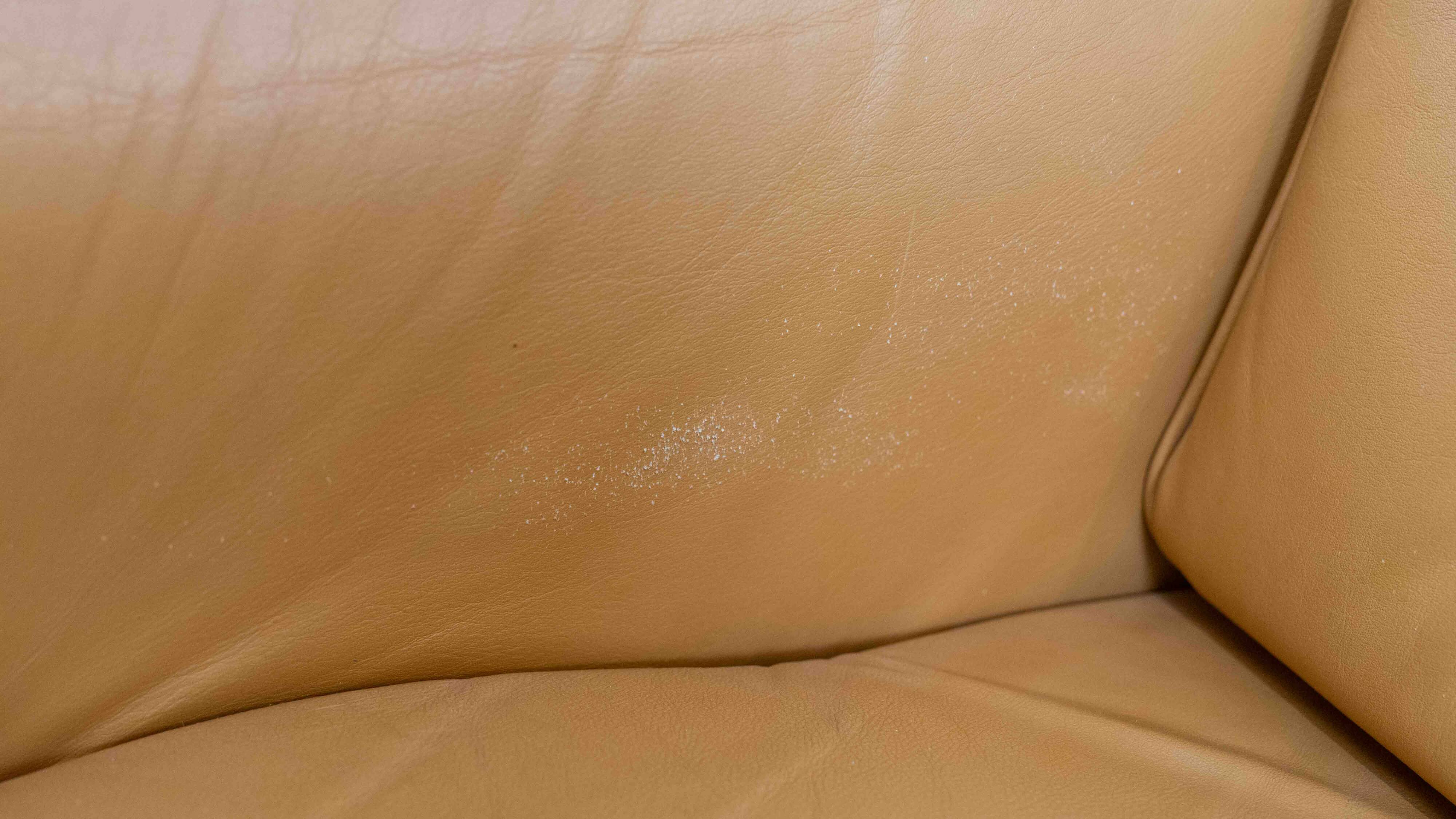 Brazilian Style Leather Seating Group