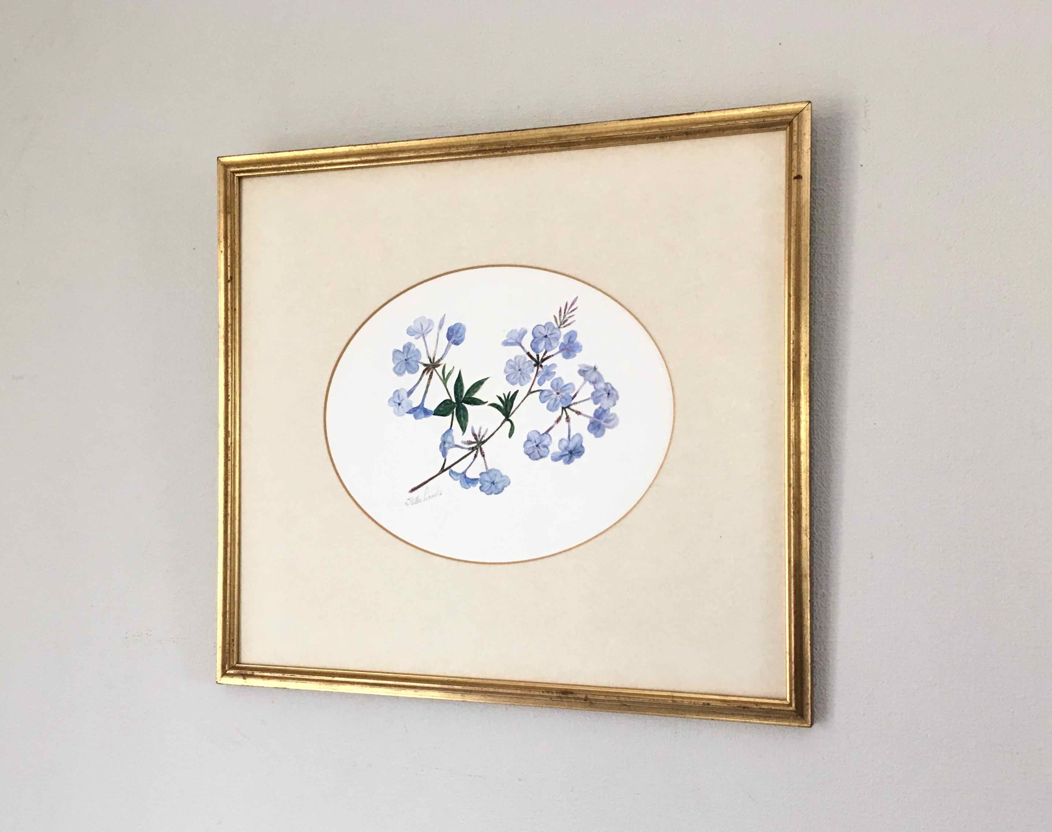 Tableau aquarelle fleurs de plumbago
