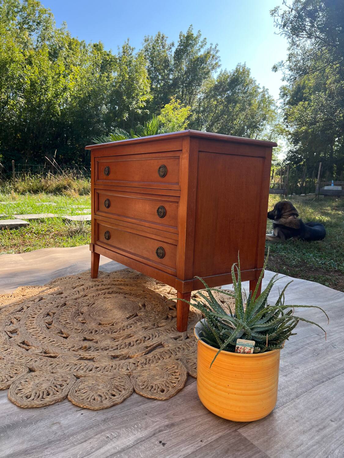 Small vintage antique chest of drawers