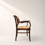 Fauteuil par Gustav Adolf Schneck pour Thonet