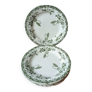 6 antique flat plates Hamage Moulin des Loups