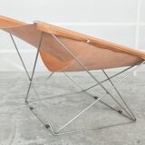 Papillon de Pierre Paulin