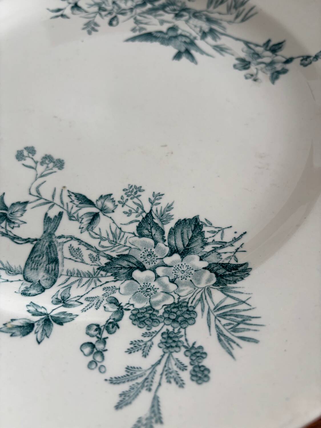 Round plate Longwy model Mignon – Antique earthenware with floral and bird decoration.