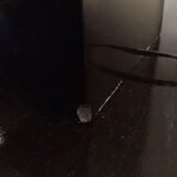 Large black lacquered lamp with gilt bronze decoration