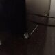 Large black lacquered lamp with gilt bronze decoration
