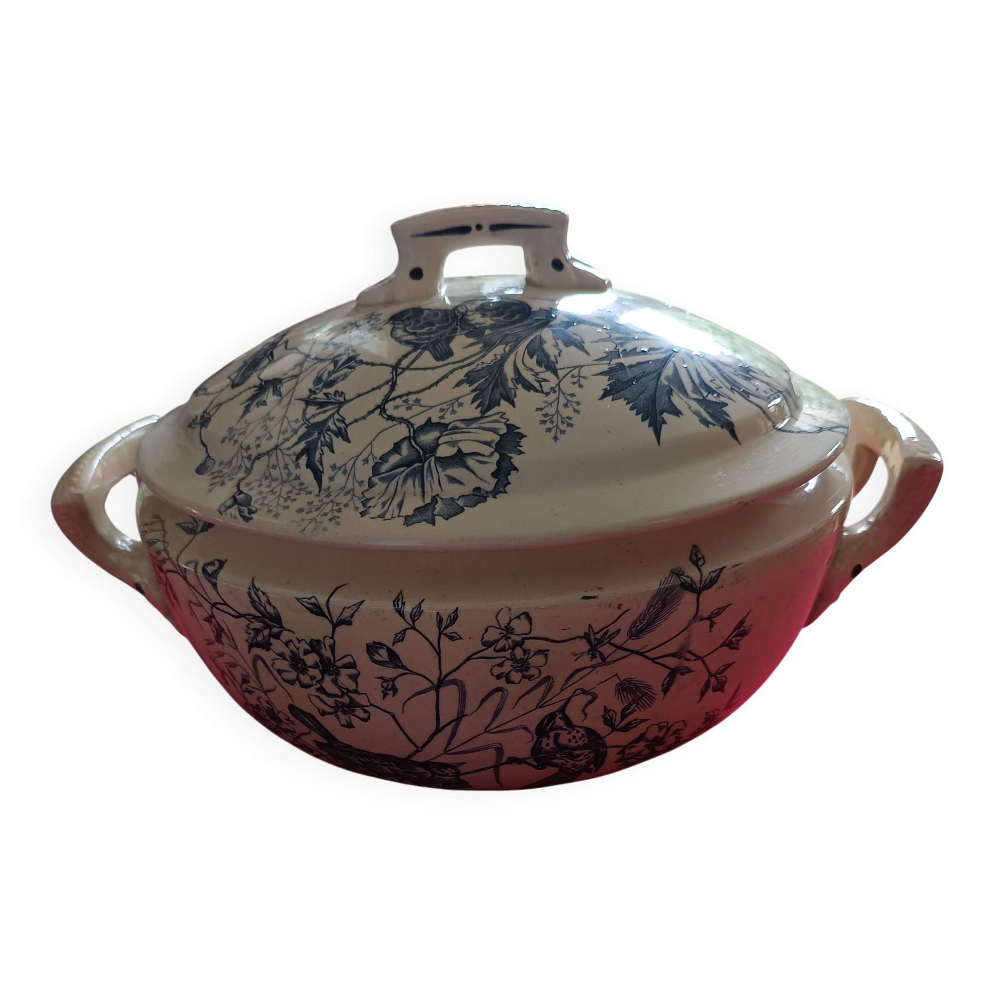 antique soup tureen Terre de Feu 1920/1930 with a decoration of birds and insects
