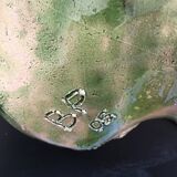 Alocsia leaf plate