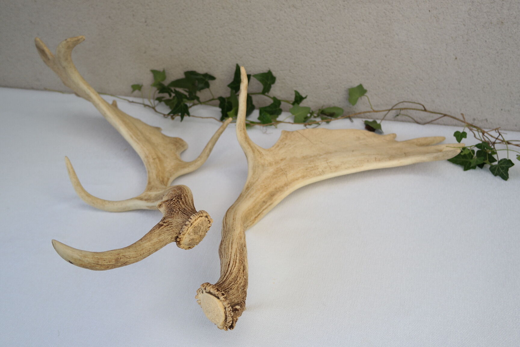 Pair of suede wood europe