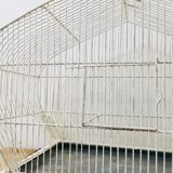 Birdcage