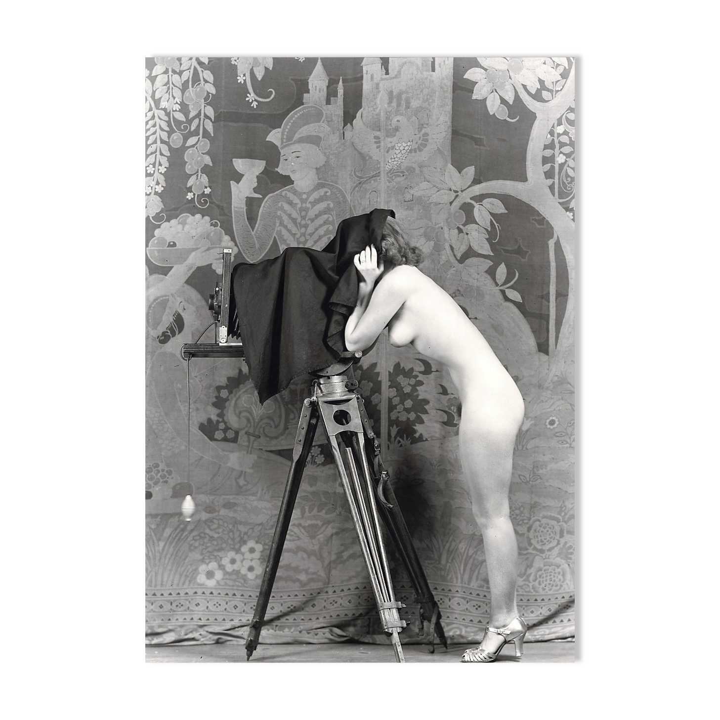 Photography, "The Woman on Camera", 1920 / Tribute to Alfred Cheney Johnston / 15 x 20 cm