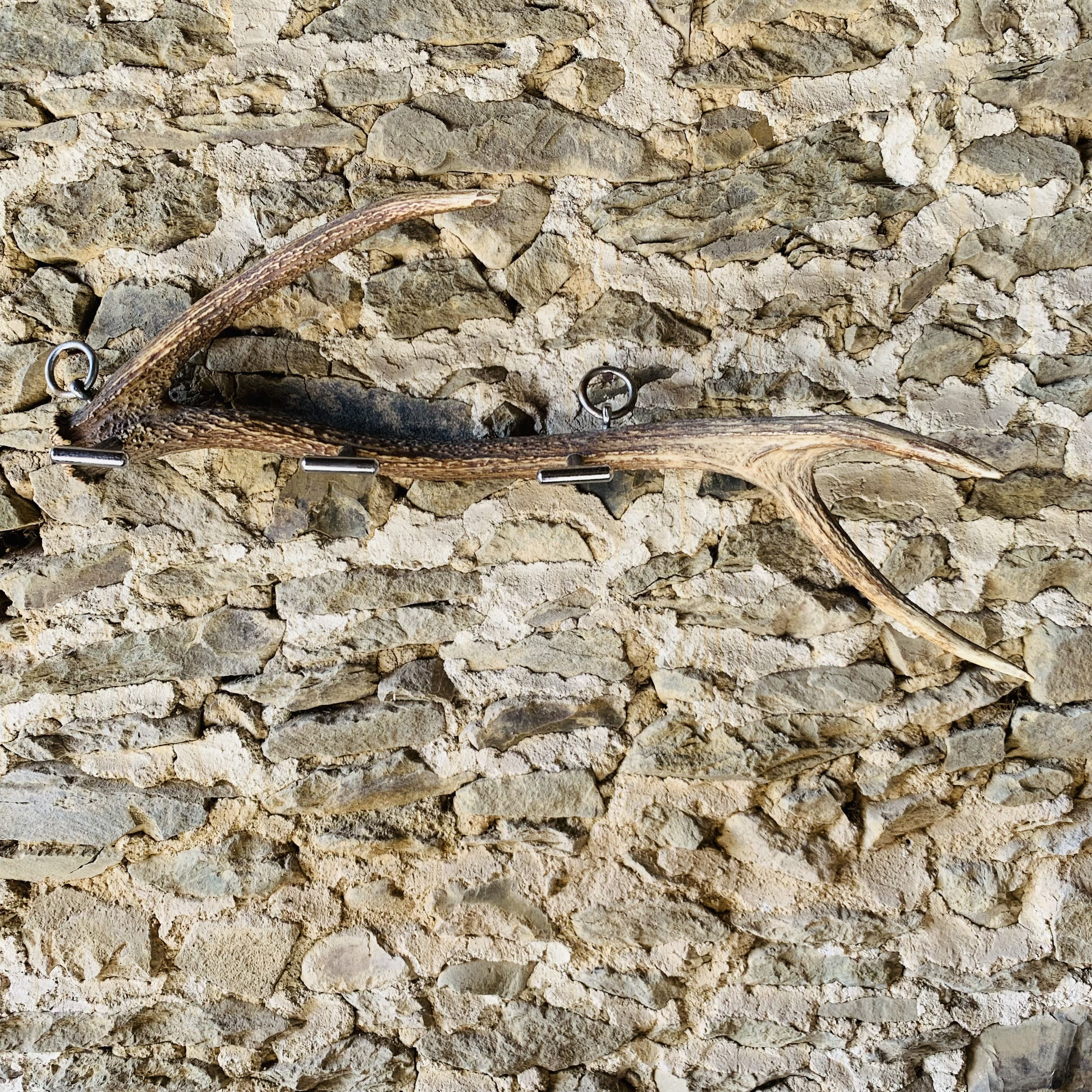 Deer antler coat rack 3 hooks