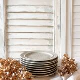 Speckled stoneware plate