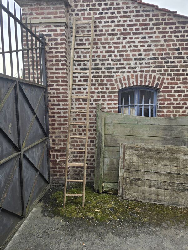 Ancien échelle en tronc d'arbre