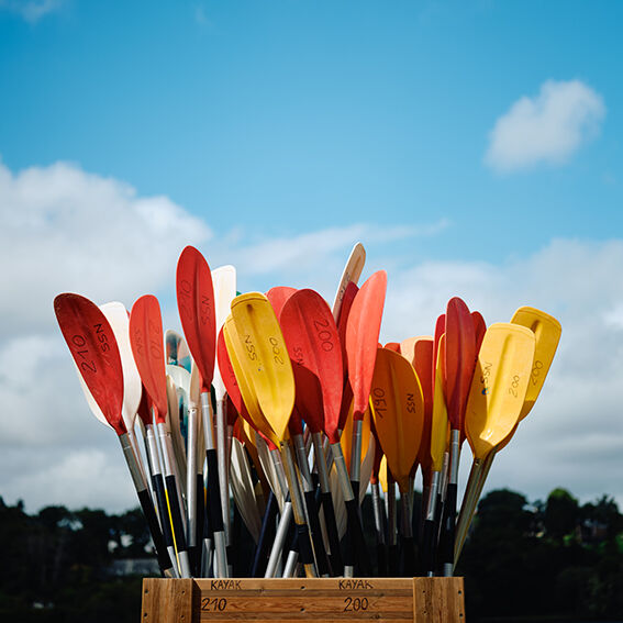 Bouquet of paddles