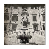 Photographie ancienne noir et blanc argentique début XXe