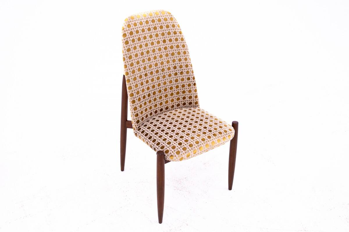 Set of 4 chairs, Czechoslovakia, 1950s. After renovation