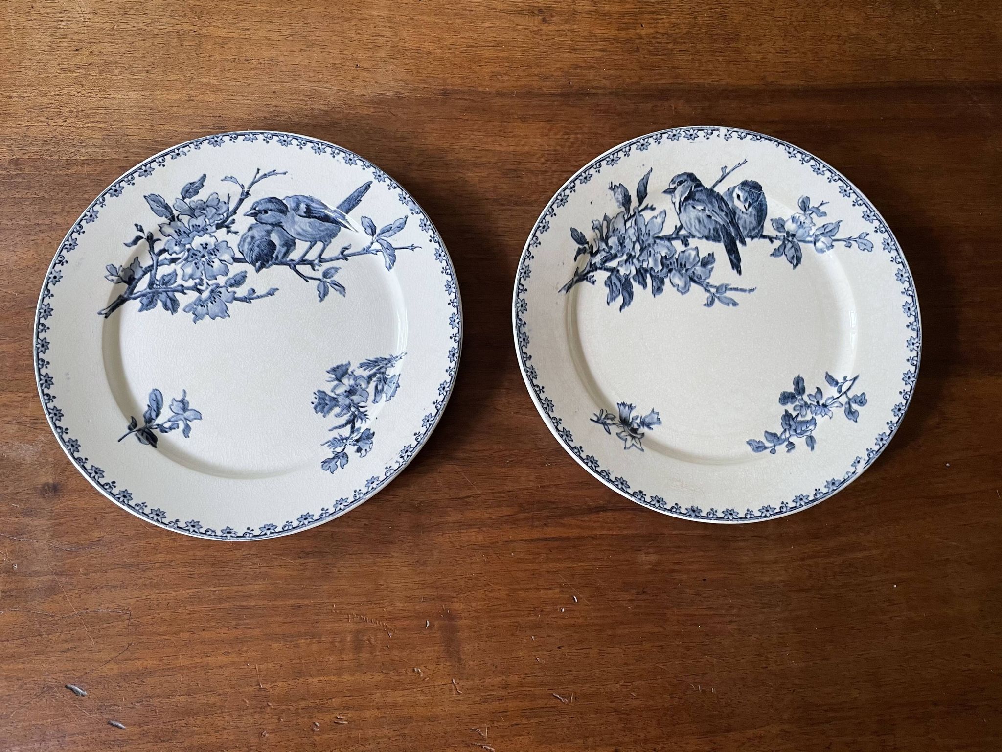 Flat plates Sarreguemines Iron Earth model Blue favorite
