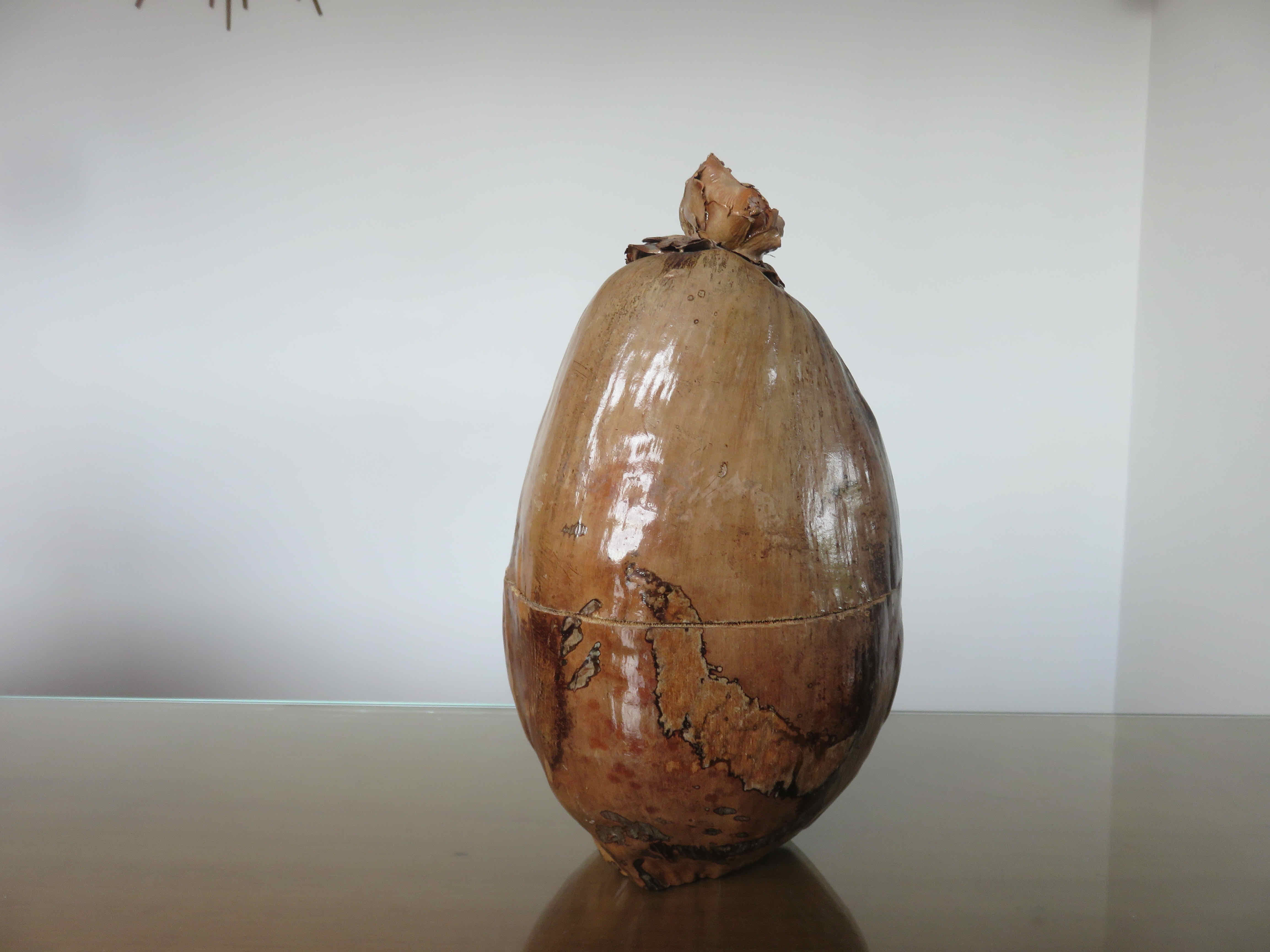 Naturalized coconut ice bucket 1970