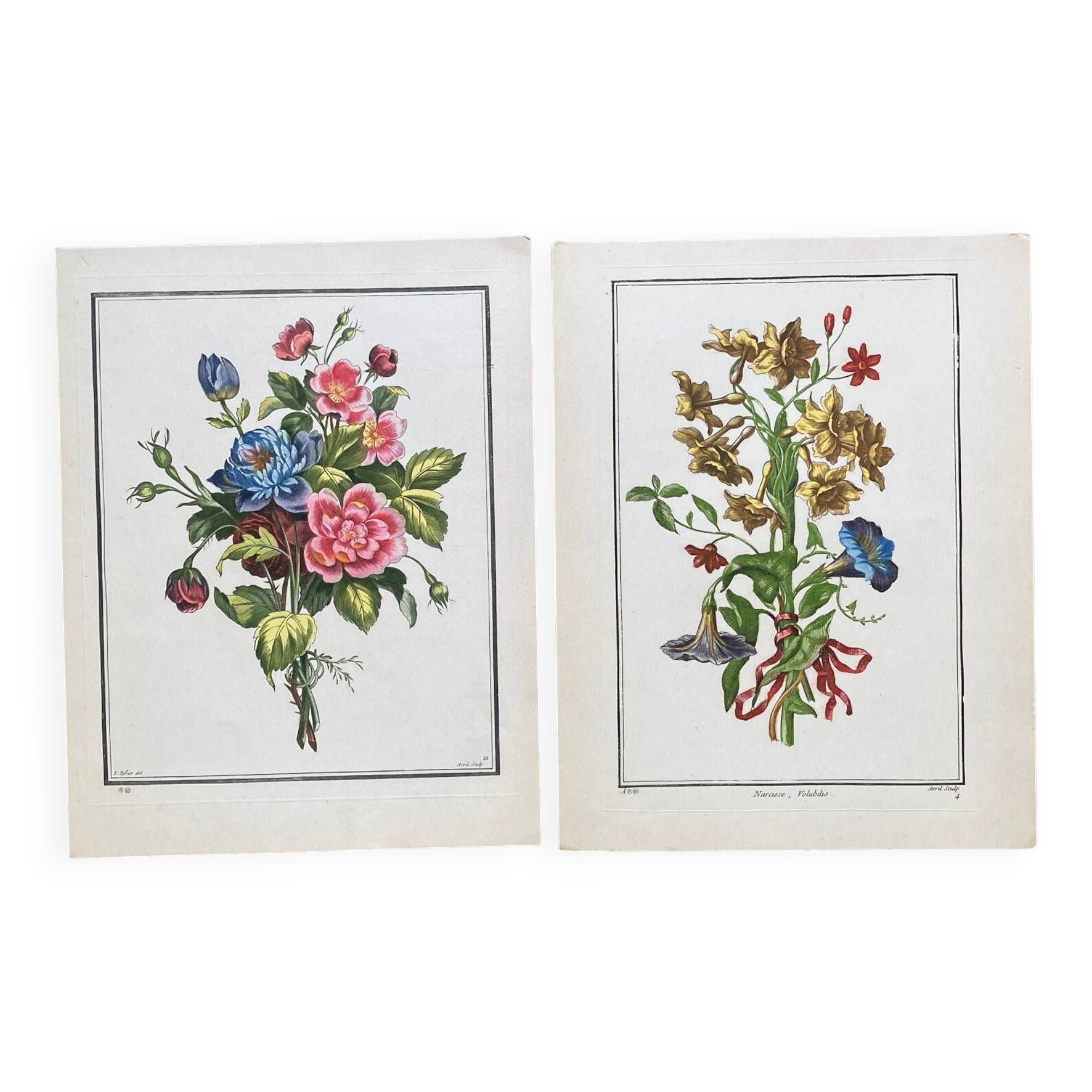Two floral lithographs 224