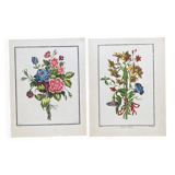 Deux lithographies florales 224