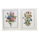 Two floral lithographs 224