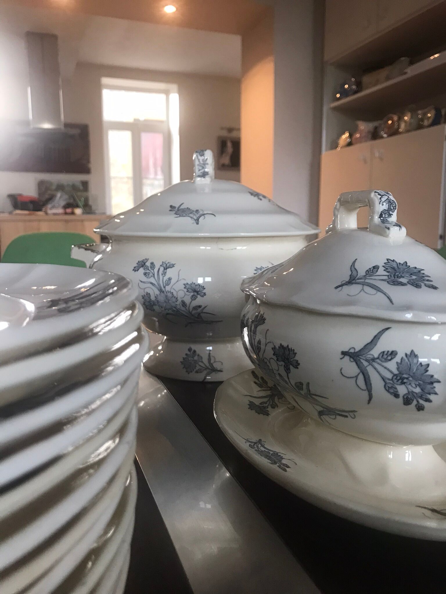 Lot de terre de fer Longchamp modèle Bluets