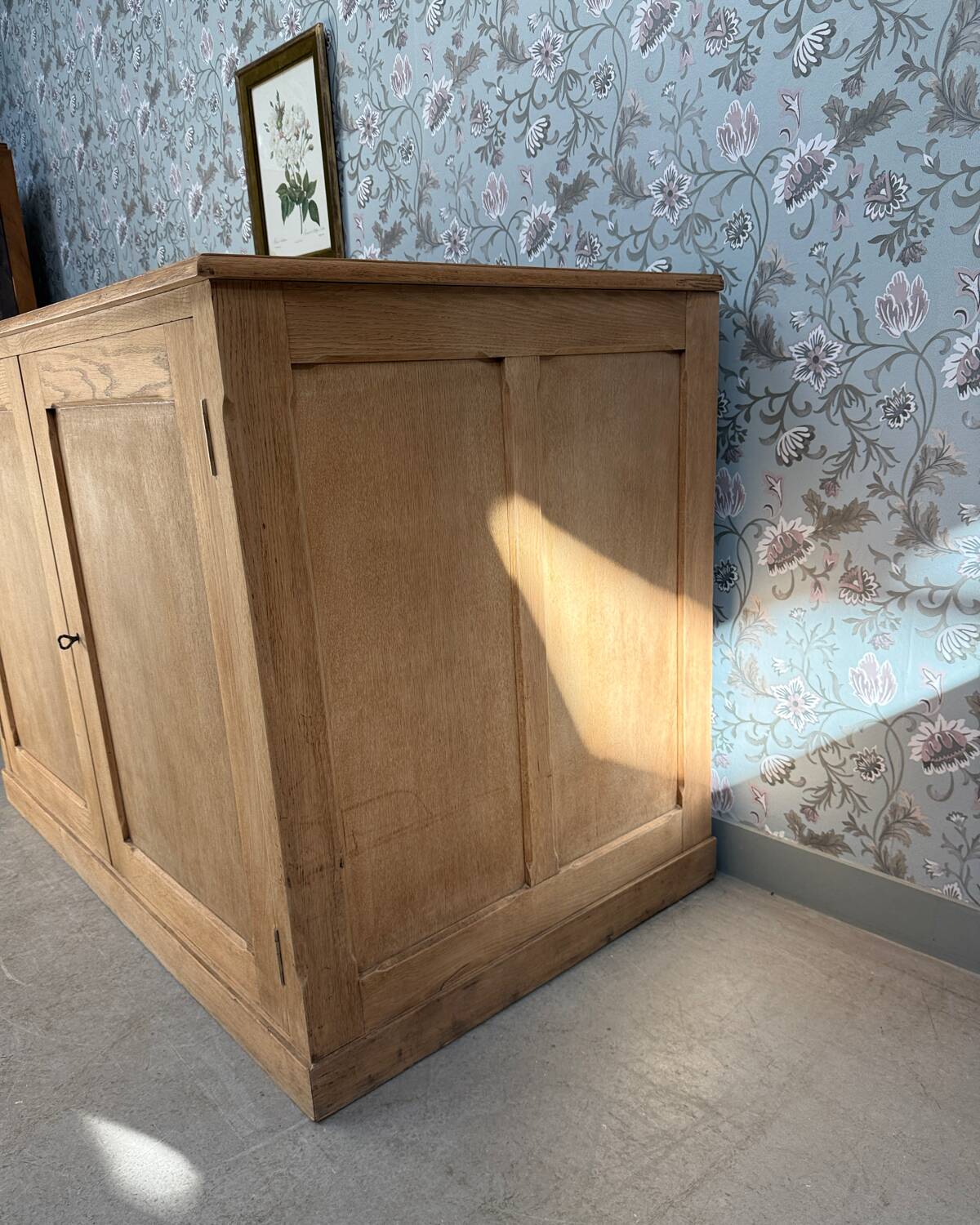 Oak plan cabinet / trade cabinet (renovated)