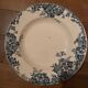 13 assiettes creuses marie louise Saint amand et hamage