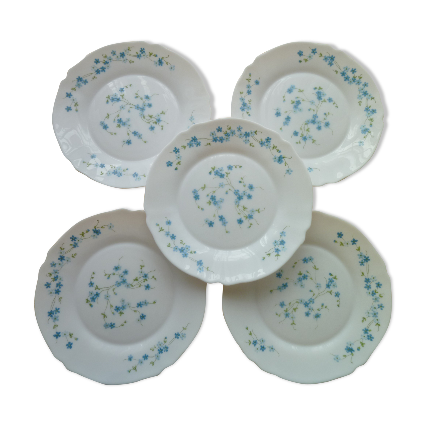 Set de 5 assiettes plates vintage en arcopal modèle véronica myosotis bleu