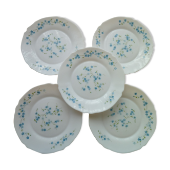 Set of 5 vintage flat plates in arcopal model veronica myosotis blue