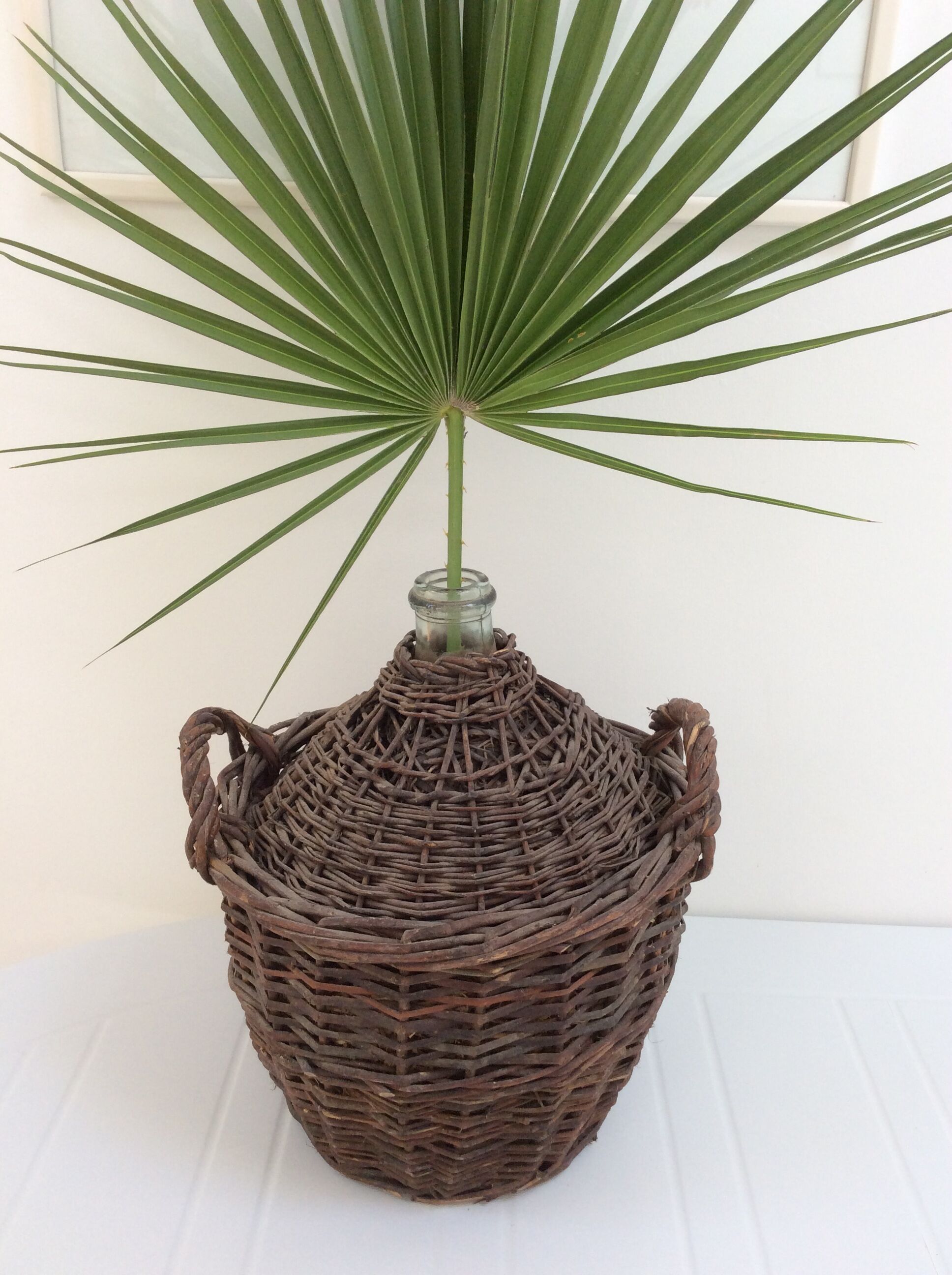 Demijohn in her braided wicker basket