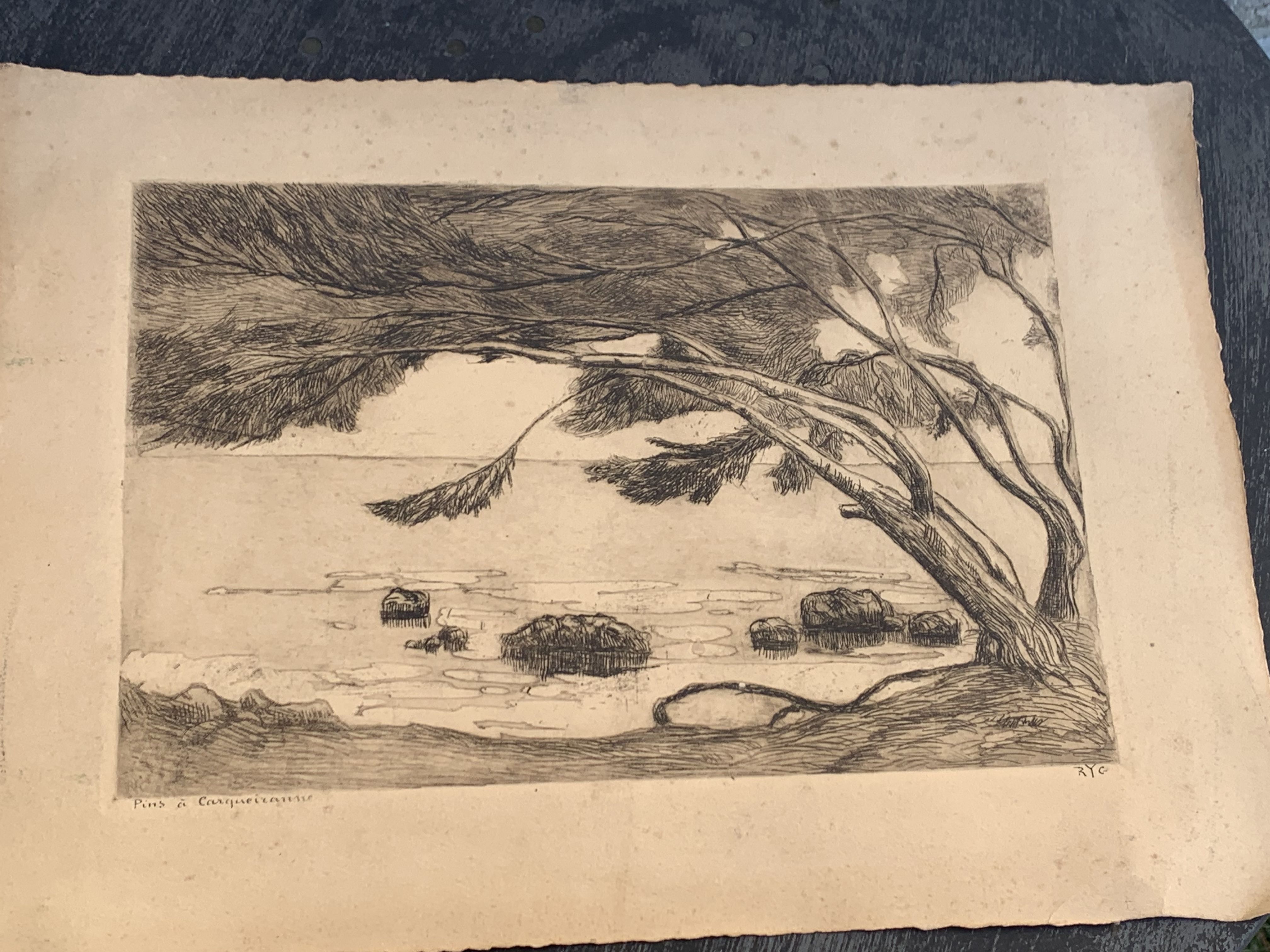 Charcoal drawing and ink the pines Carqueiranne sign Ryg