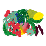 Tutti frutti - a4 illustration