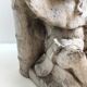 Pair of plaster bookends Gargoyles M. Brown Orléans