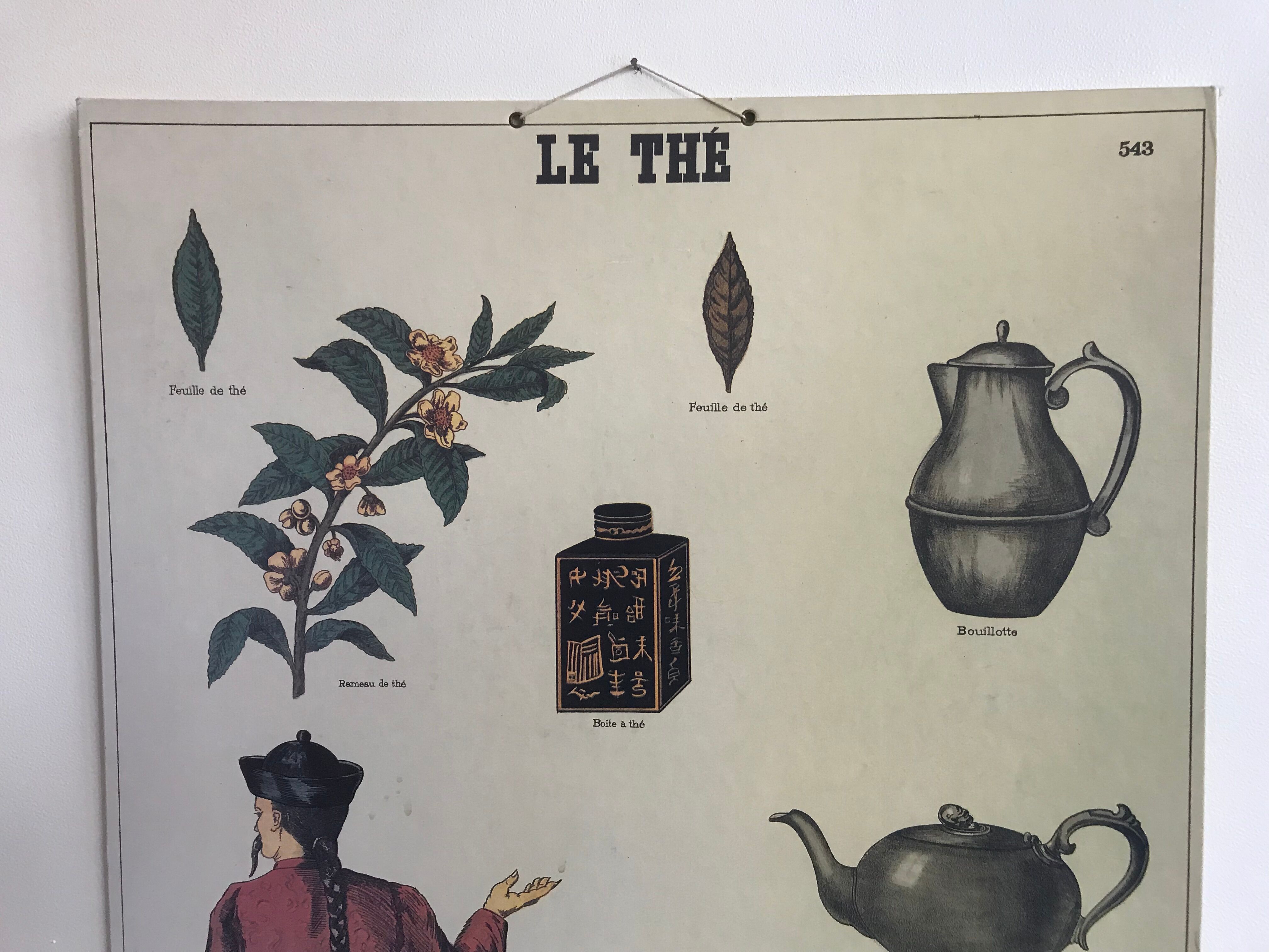 Cardboard poster "tea"