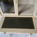 Bookcase with patinated partitions