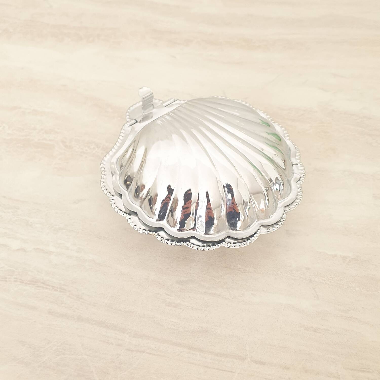 Stainless steel shell-shaped butter dish and its blue bowl
