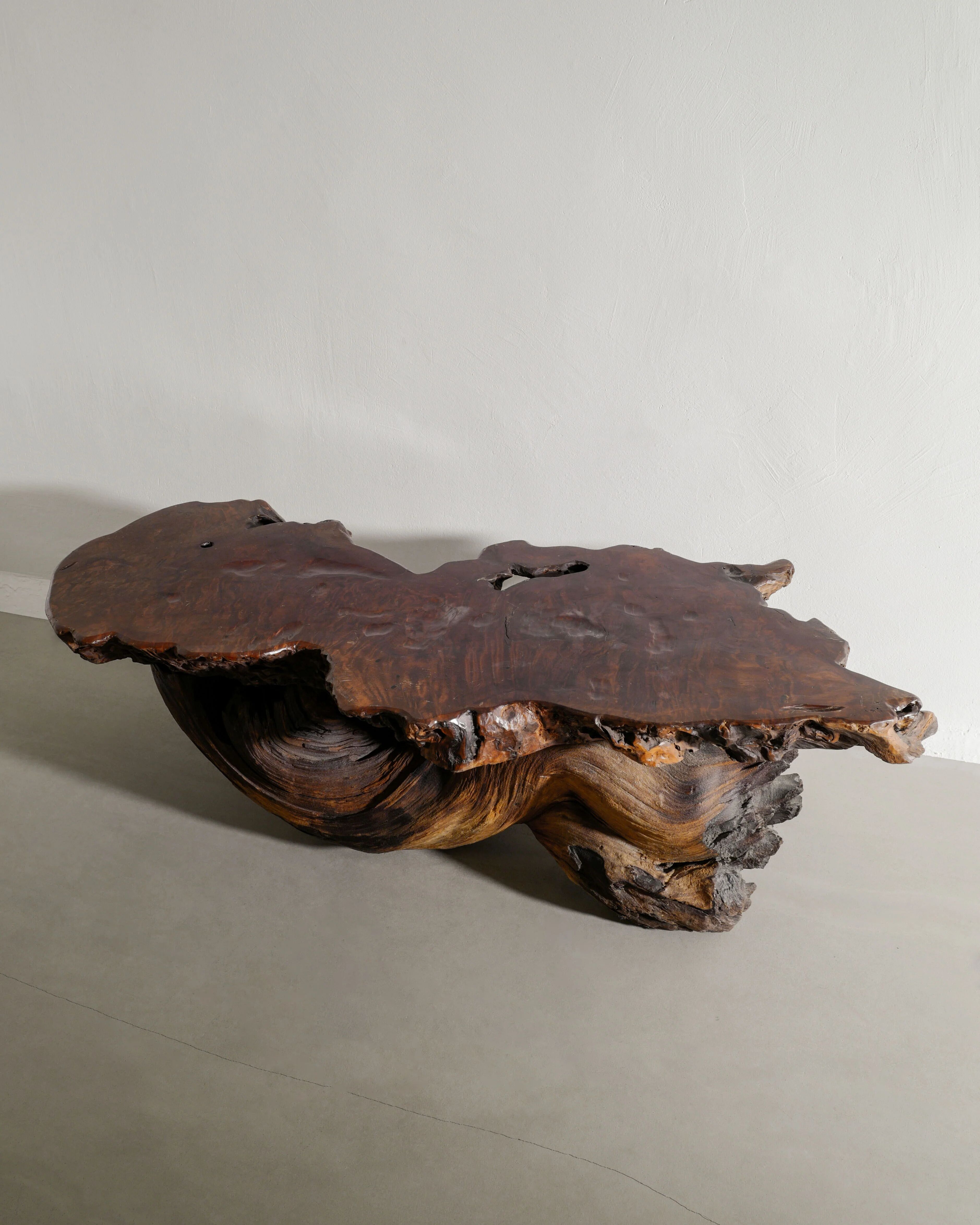 French Brutalist Sculptural Free Form Wooden Root Sofa Coffee Table, 1960s