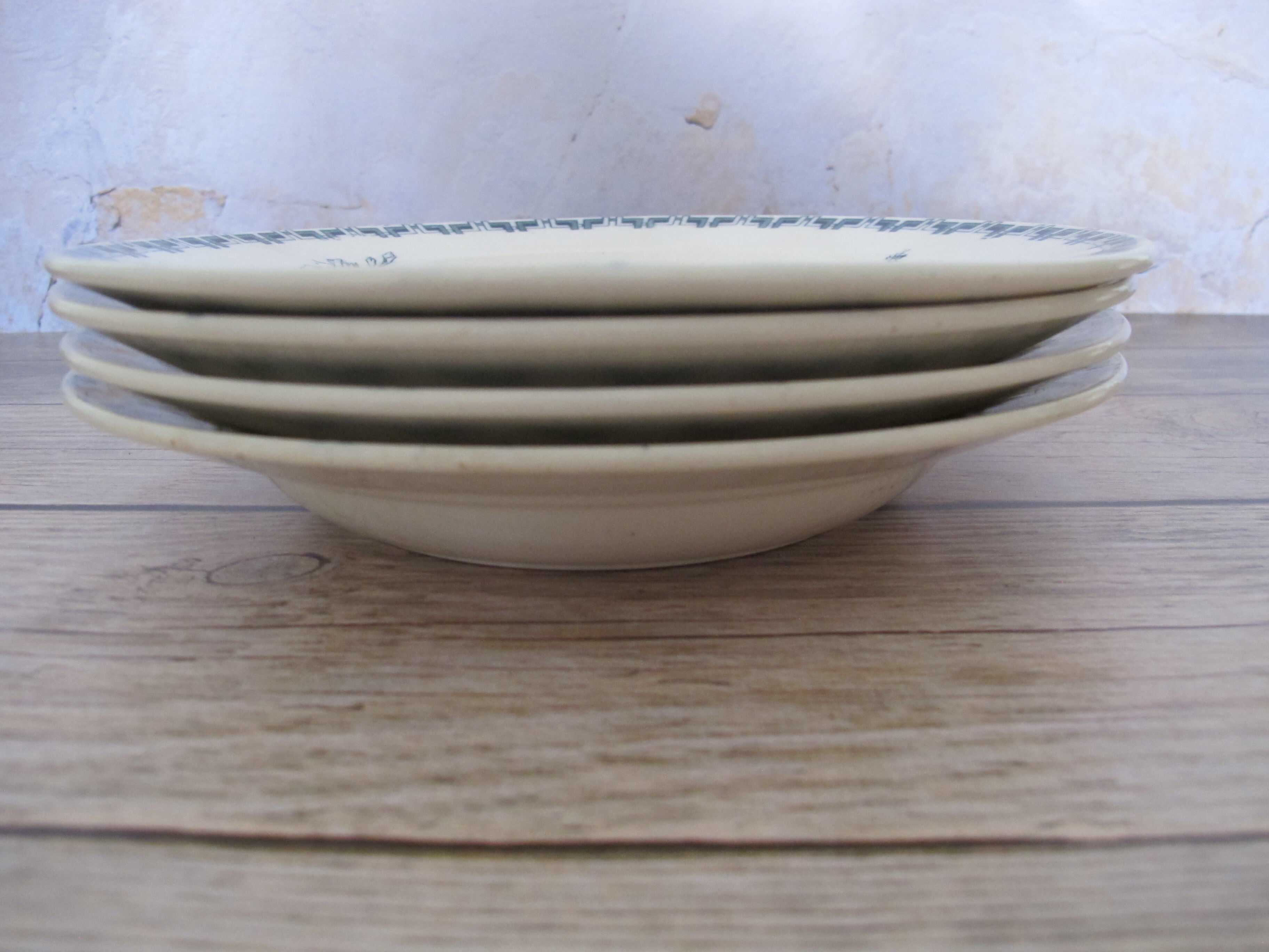 Set of 4 hollow plates in Iron Earth of Sarreguemines, model "Linnée".