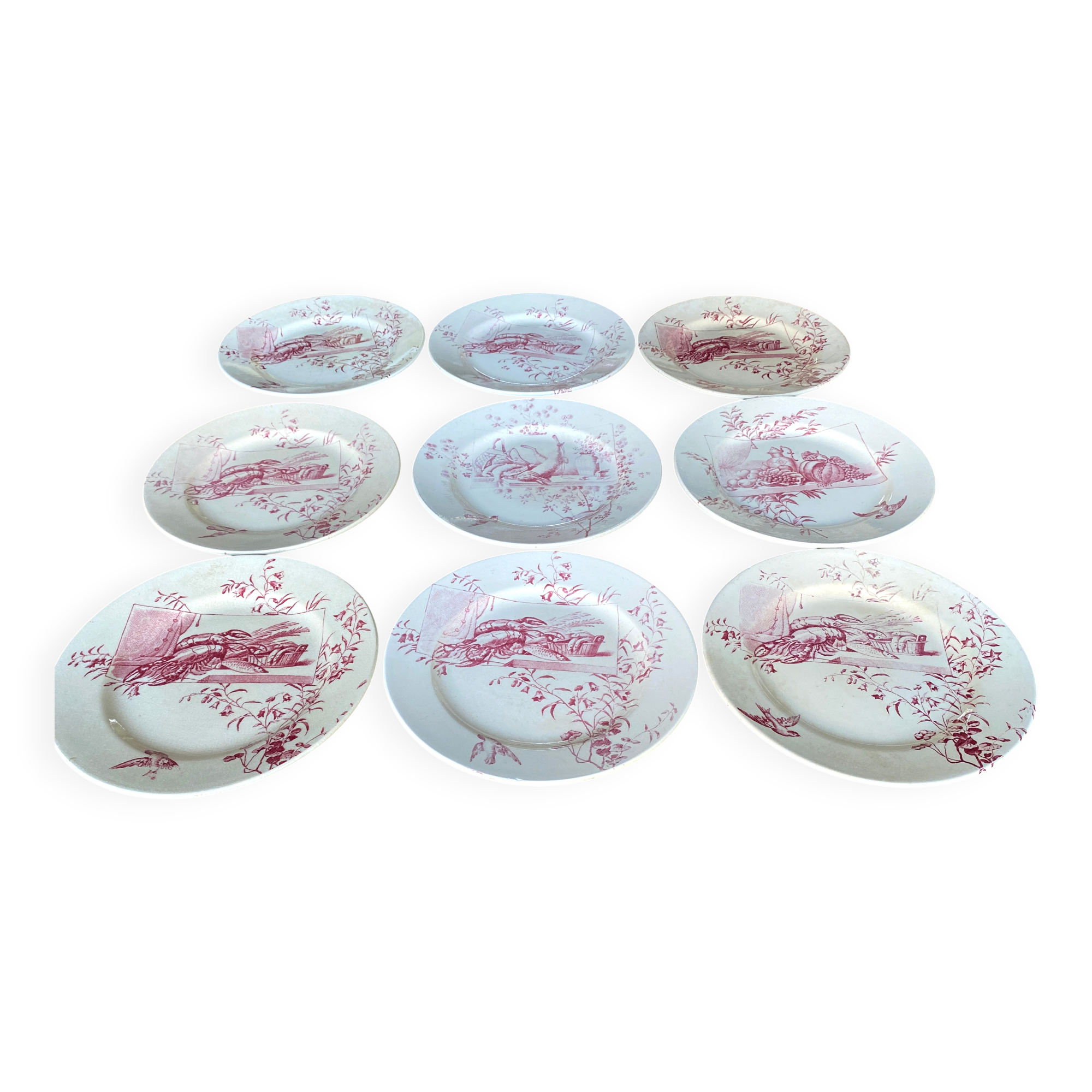 Set of 9 red earthenware plates from Terre de Fer Samaritaine - 19th century.