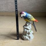 Perroquet en porcelaine de messen