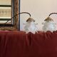 Duo of walking roses glasses Art Deco