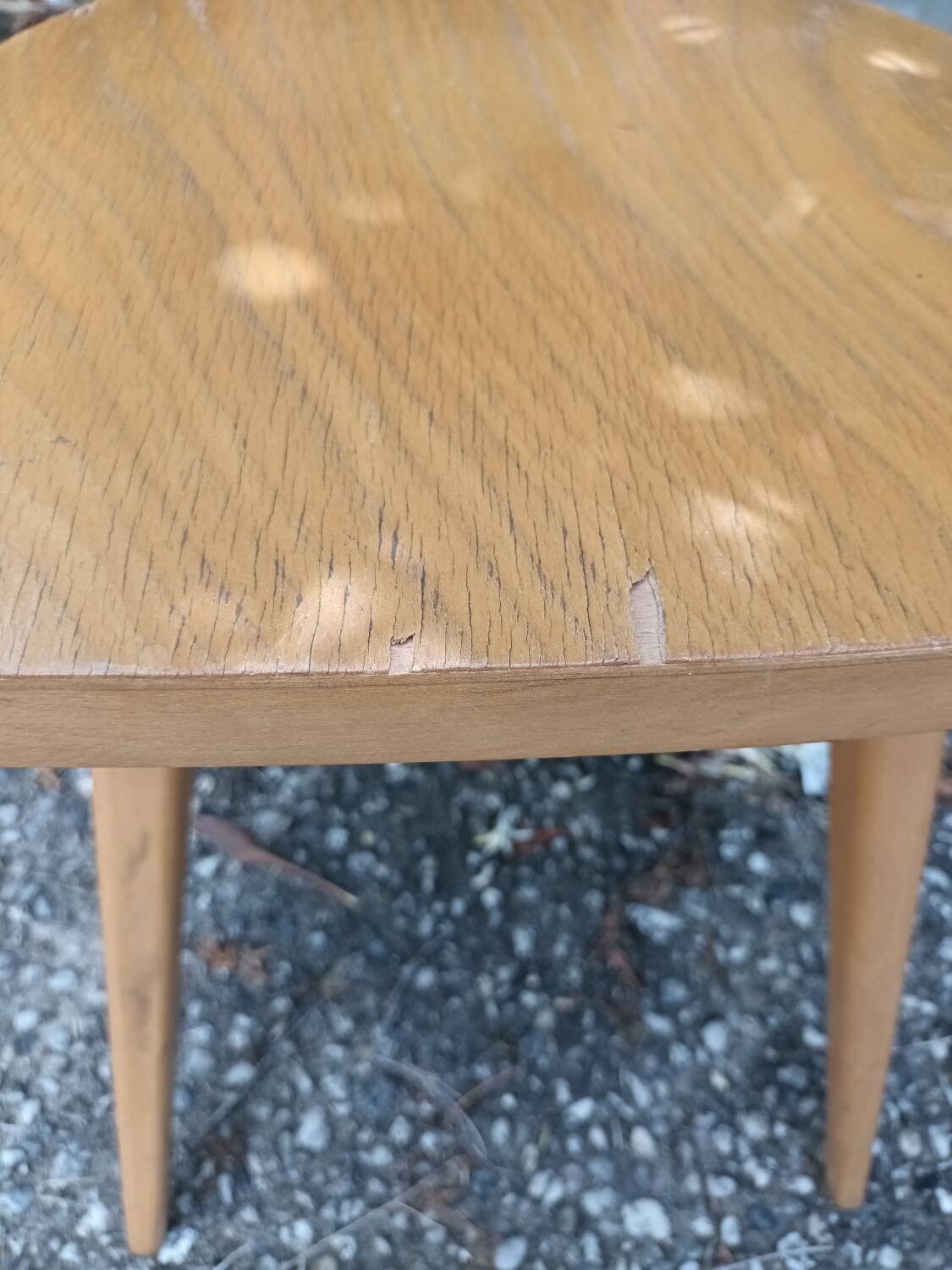 Antelope Chairs Stella Luterma