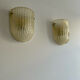 Pair of vintage murano wall lamps, zonca italy 1970