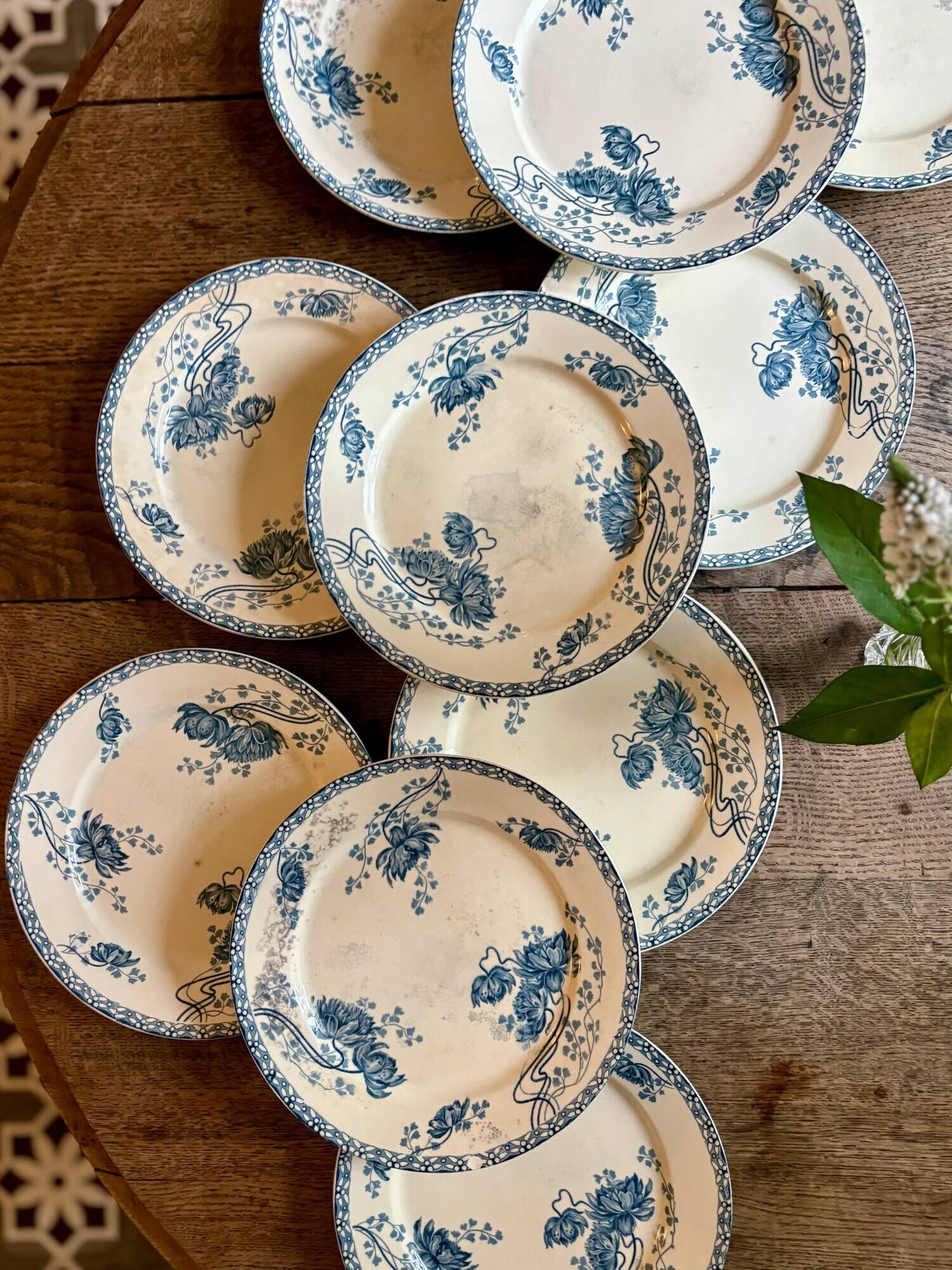 Set of 10 antique flat plates in ironstone, Royat from Sarreguemines.